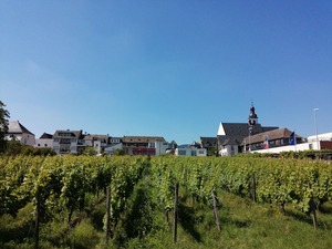 IMG_20200623_160316_1600