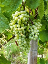 IMG_20190813_193430_1600