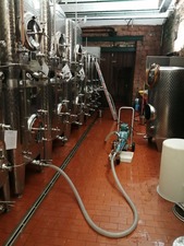 IMG_20200918_075007_1600