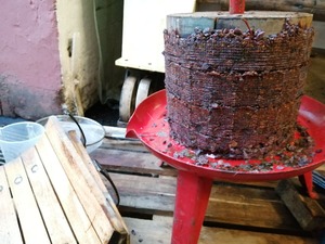 IMG_20201113_161208_1600