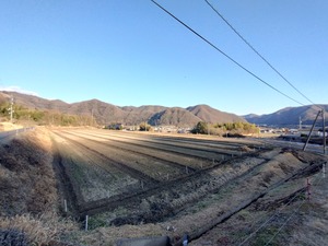 IMG_20240210_163300919_HDR