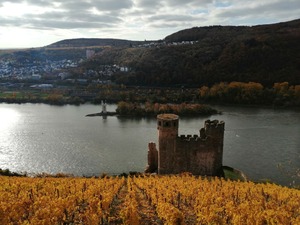 IMG_20201031_104722_1600