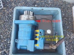 IMG_20240801_165012937-blog