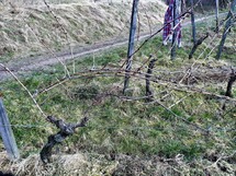 IMG_20180305_105616_1600