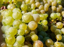 IMG_20180918_104107_1600