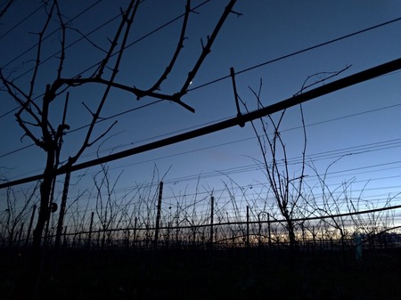 P_20200129_174419_vHDR_Auto_1600