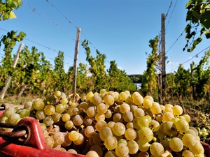 IMG_20180912_161122_1600