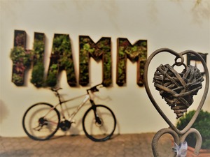 IMG_20190617_180517_1600