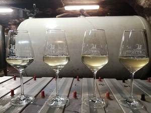 IMG_20200929_153157_1600