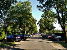 IMG_20180629_193155_1600