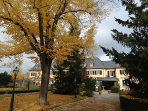 IMG_20201025_122915_1600