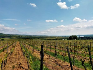 IMG_20180503_120048_1600