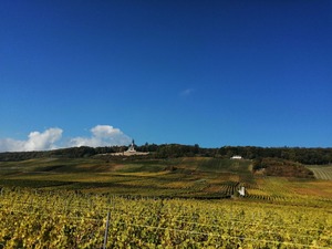 IMG_20201019_124615_1600