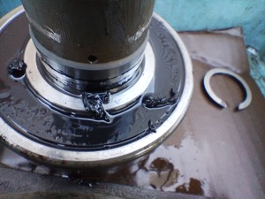 IMG_20240801_171921799