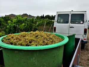 IMG_20180913_104821_1600