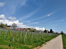 IMG_20180415_130317_1600