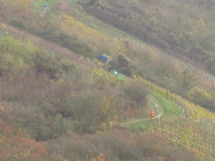 Lauf-03-01_1600_1600