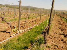 IMG_20180420_115958_1600