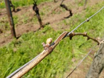 IMG_20180417_125410_1600