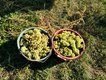 IMG_20180912_101609_1600