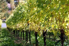 IMG_3048 - ���ԡ�_1600