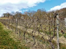 IMG_20180401_151445_1600