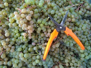 P_20191002_160904_1600