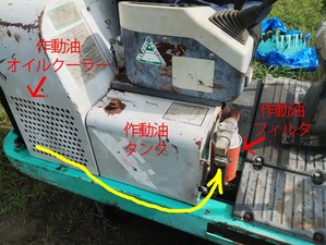 �ۡ���������