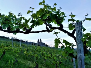 IMG_20190523_202417_1600