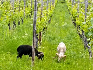 IMG_20190610_155926_1600