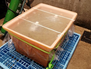 IMG_20221009_165311-01