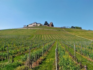 IMG_20190418_153851_1600