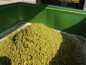 IMG_20200917_123931_1600