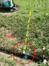 �ŵ����ӿ��