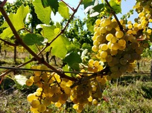 IMG_20180912_144700_1600