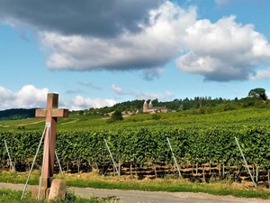 IMG_20190813_100622_1600