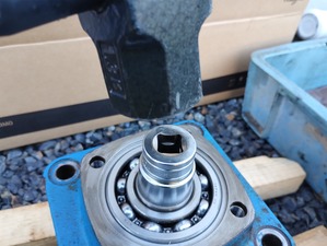 IMG_20240801_171630617