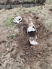 IMG_20240206_135053202