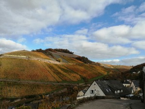 IMG_20201031_103340_1600