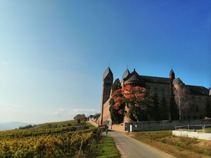 IMG_20201019_121921_1600