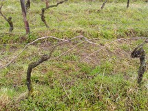 IMG_20180328_102508_1600