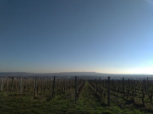 P_20200121_143852_vHDR_Auto_1600