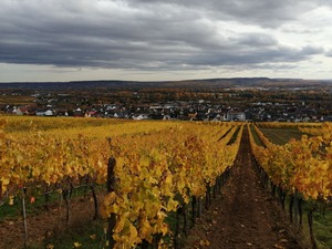 IMG_20201025_131752_1600