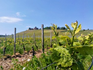 IMG_20180504_131419-2_1600