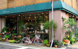 アンズ 花 香川県高松市商店街パティオオアシス 小