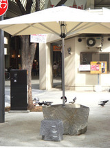 香川県高松市商店街パティオオアシス 小