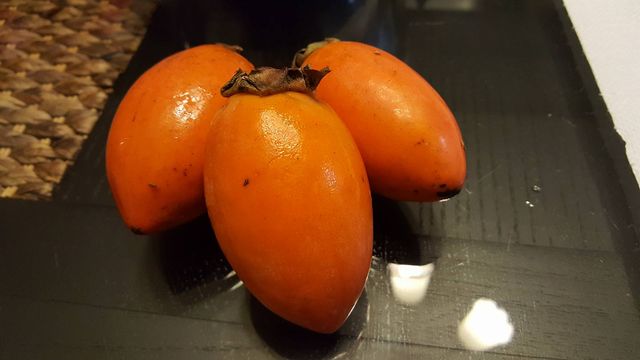 干し柿作り 元フリーター 家を買う