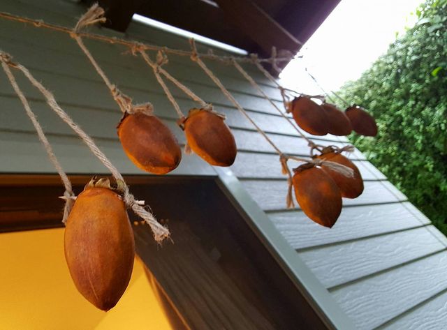 干し柿作り 元フリーター 家を買う