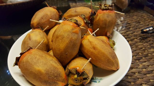 干し柿作り 元フリーター 家を買う