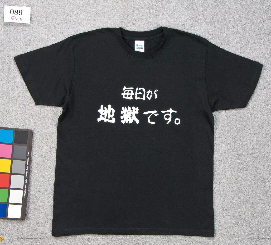 ご当地tシャツ 大分県 ペンギン先生のワクワク社会科 ご当地tシャツ 大分県 ペンギン先生のワクワク社会科